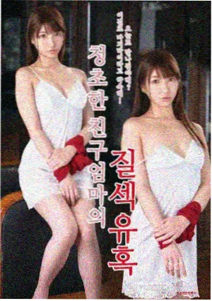 91精品一区肖申克的救赎